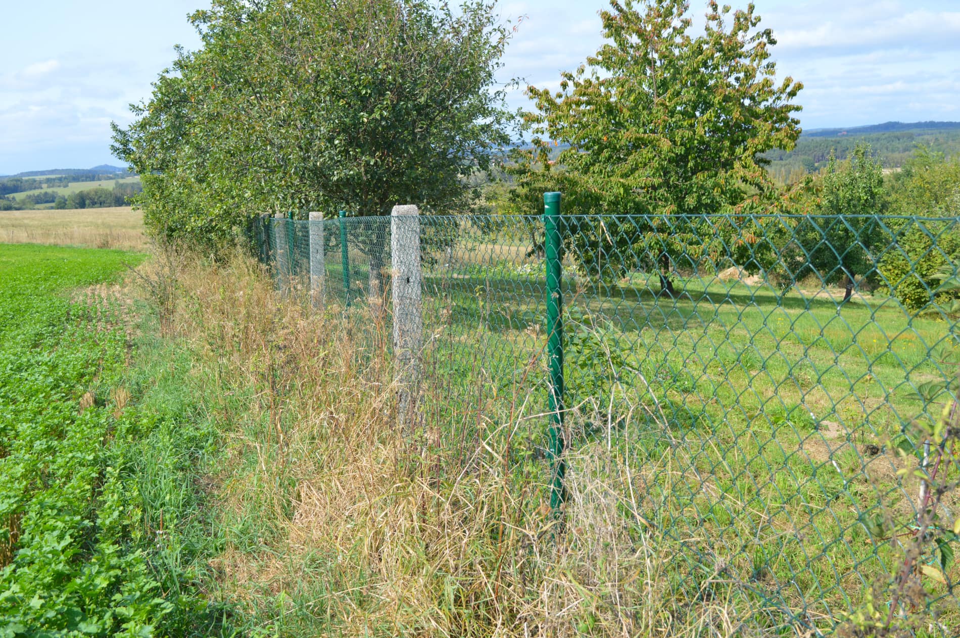 poplastované zelené pletivo čtyřhranné